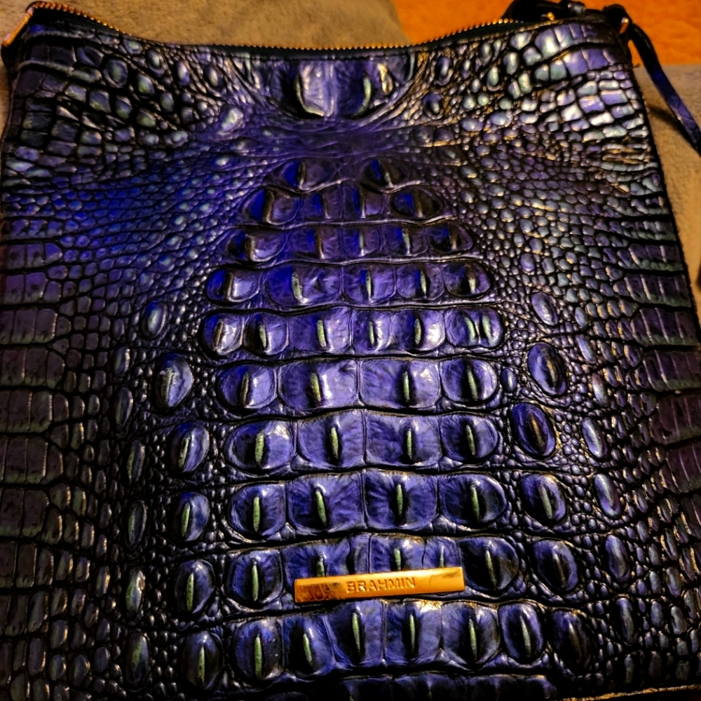 Blue Brahmin Crossbody